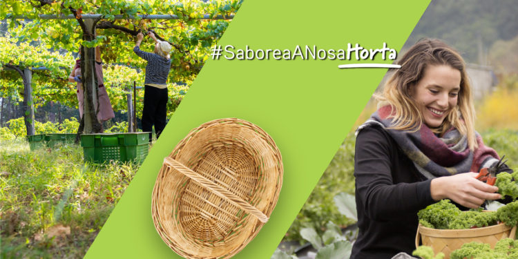 Unha campaña da Deputación pon os produtos da provincia ‘Na Túa Cesta’