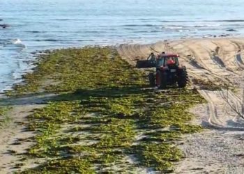 Ecoloxistas en Acción pide ao Concello de Vigo que mude o sistema de limpeza das praias