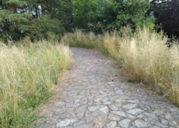 Teis pide unha reunión co Concello de Vigo pola “falta de mantemento” do parque da Guía