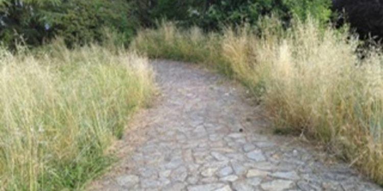 Teis pide unha reunión co Concello de Vigo pola “falta de mantemento” do parque da Guía