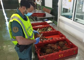 Requisan en Baiona una partida de marisco y pescado extraído de forma ilegal