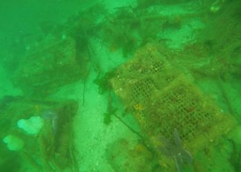 Así estaban los fondos del puerto de Vigo antes de retirar 19 toneladas de basura