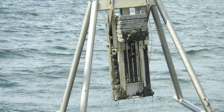 Investigadoras del Oceanográfico analizan más de 50 contaminantes en la Ría de Vigo