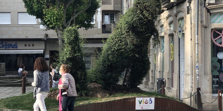 El Dinoseto necesita peluquería