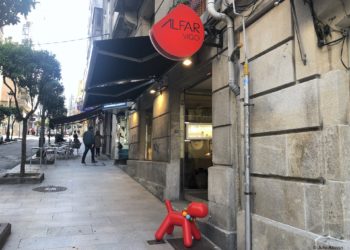 El perro se queda fuera