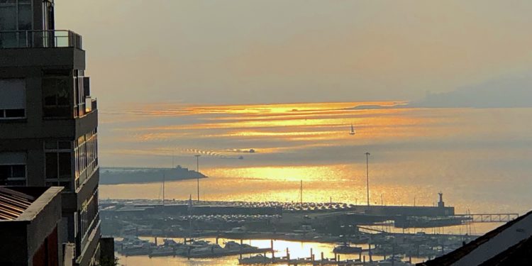 Nieblas de primavera