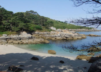 Visitas guiadas a cinco bosques «terapéuticos» da provincia para conectar coa natureza