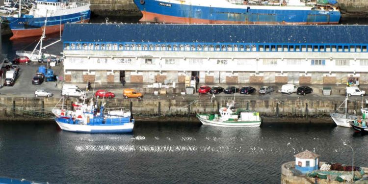 A Consellería do Mar convoca un novo curso online de mariñeiro pescador titorizado desde Vigo