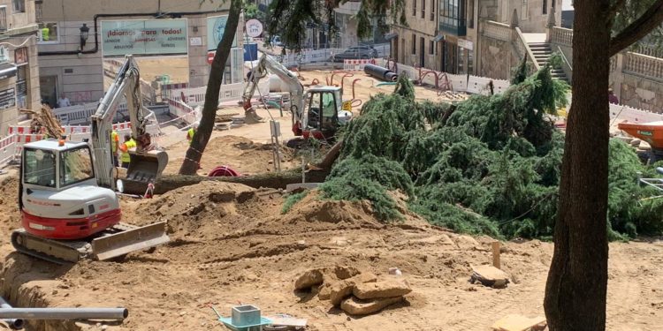 Dos árboles de gran porte se vienen abajo en la Ronda Don Bosco