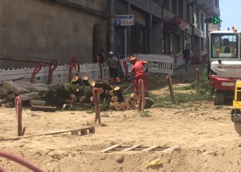 Dos árboles de gran porte se vienen abajo en la Ronda Don Bosco