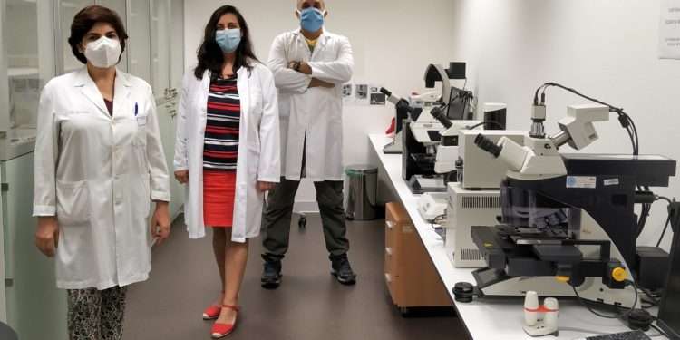 O Álvaro Cunqueiro sitúase na “vangarda tecnolóxica” cun novo microscopio de última xeración