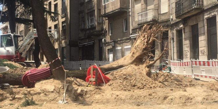 O BNG propón un protocolo de protección do arborado para evitar situacións como a de Don Bosco