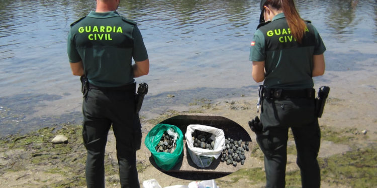 Decomisan siete kilos de almejas a tres furtivos que se hacían pasar por bañistas en la playa de Bouzas