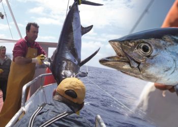 Orpagu, Premio Alimentos de España 2019