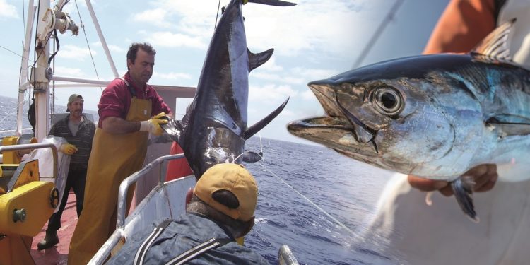 Orpagu, Premio Alimentos de España 2019