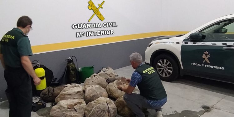 La Guardia Civil sorprende a un submarinista con un cargamento de vieiras en Vigo