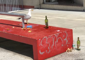 La basura de la ignorancia