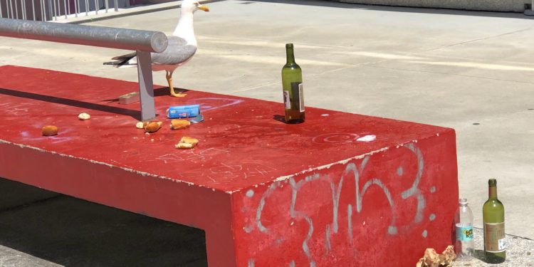 La basura de la ignorancia