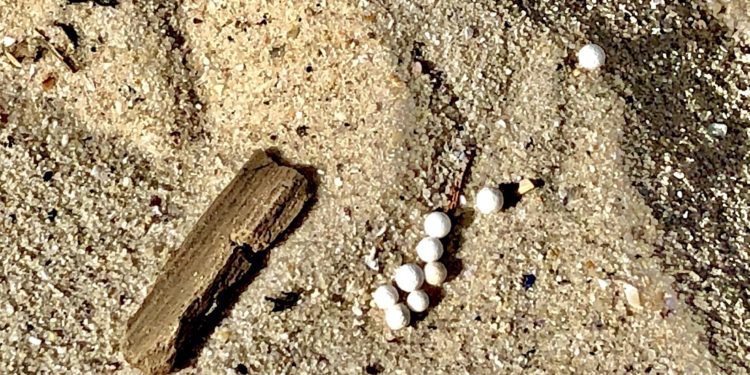 La contaminación del plástico