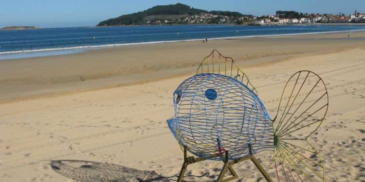‘Peixe traga-plástico’ para Praia América