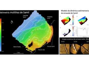O maior estudo sobre Samil demostra que os fondos manteñen o equilibrio pese á presión urbanística