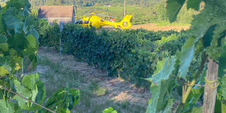 La joven viguesa muerta y sus amigas no fueron localizadas hasta dos horas después del accidente