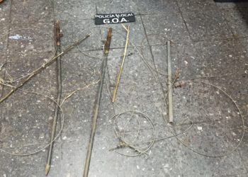 La Policía Local de Vigo rescata a un jabalí que se quedó enganchado en una trampa