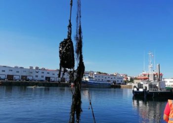 El Puerto de Vigo retoma en Bouzas la limpieza de los fondos marinos