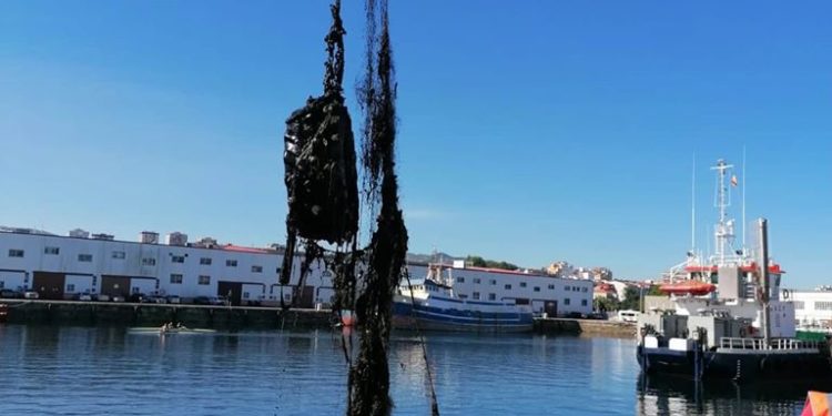 El Puerto de Vigo retoma en Bouzas la limpieza de los fondos marinos