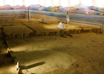 Unha investigación científica localiza no Areal de Vigo os primeiros indicios do Albariño