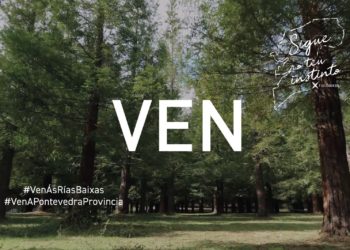 «Ven ás Rías Baixas», a nova campaña da Diputación para reactivar o turismo