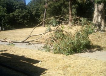 Los Bomberos retiran en A Bouza varias ramas a punto de caer sobre la vía