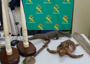 Balance del Seprona de 2019: 100 implicados en delitos contra el medio ambiente