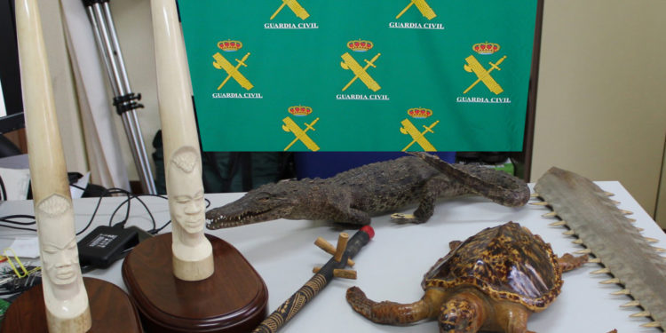 Balance del Seprona de 2019: 100 implicados en delitos contra el medio ambiente