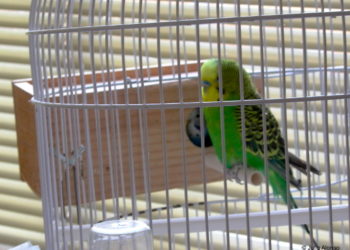 A las puertas de un nuevo confinamiento