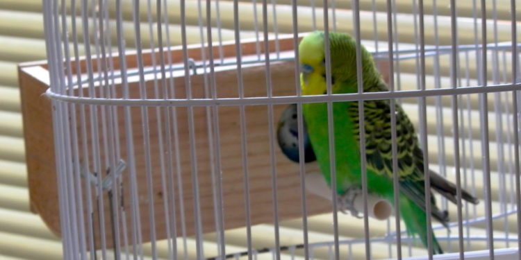 A las puertas de un nuevo confinamiento