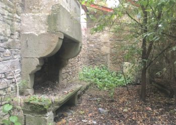 Carta a un Rey Emérito