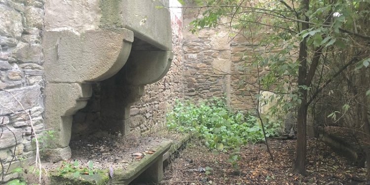 Carta a un Rey Emérito