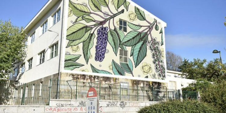 «Vigo, Cidade de Cor» sumará dezaseis novos murais