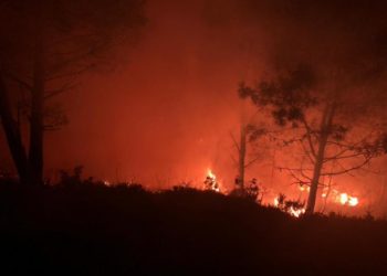 Declarado un incendio en Monteferro