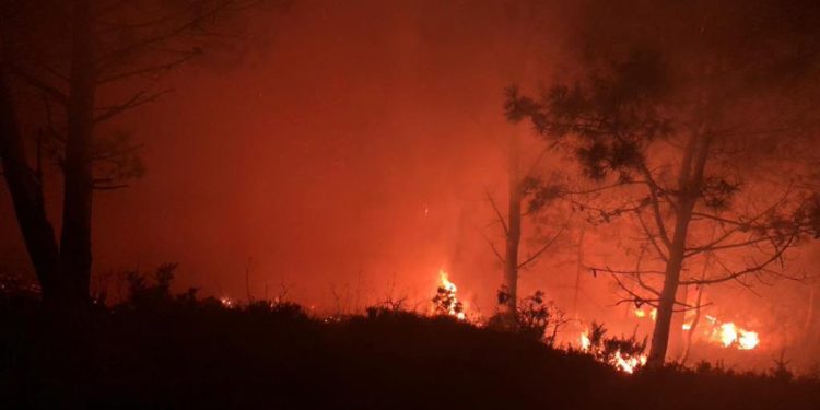 Declarado un incendio en Monteferro