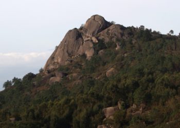Dos heridos en el choque entre un caballo y una motocicleta en Porriño