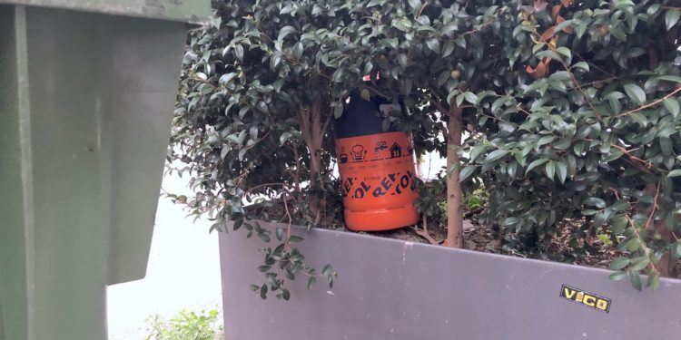 Una bombona en la jardinera