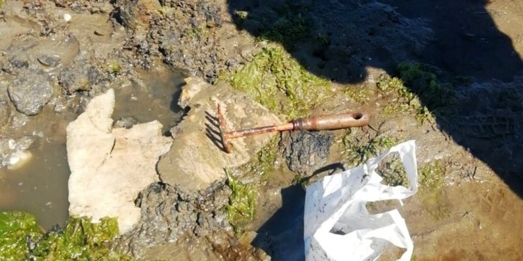 Identificados seis furtivos con marisco e aparellos na praia de Arealonga