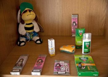 Picaduras de insectos veraniegos. !Que no te piquen!