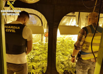 La Guardia Civil se incauta de una plantación de marihuana en O Porriño