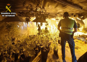 La Guardia Civil desmantela seis nuevas plantaciones de marihuana en el área metropolitana de Vigo