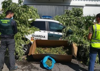 La Guardia Civil localiza una plantación de marihuana en Salceda con un dron