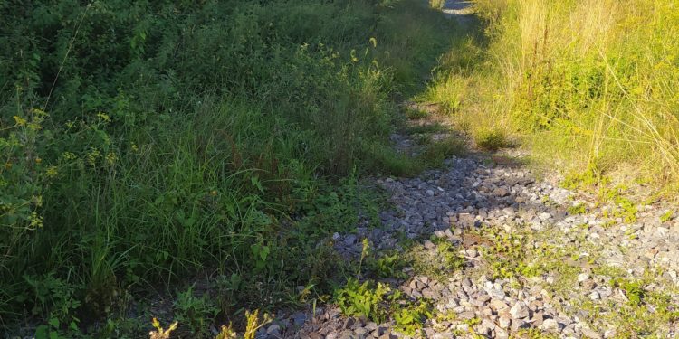 Teis denuncia a “paralización” da Vía Verde, sen data para retomar as obras