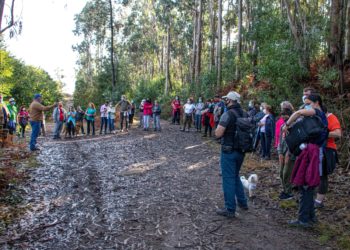 Camiño a Camiño convida a percorrer os montes de Valladares e de Matamá-Comesaña